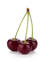 Three ripe cherries