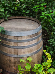 rustic wooden barrel