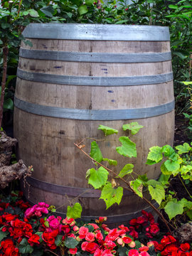 close up of rustic wooden barrel in garden