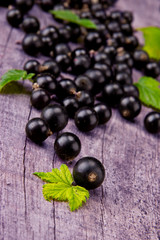 Fresh black currant