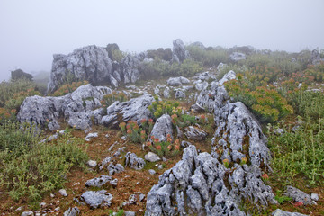 grèce; ioniennes, kefalonia : mont Enos, brouillard
