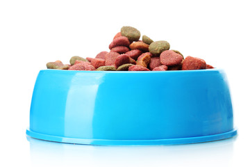 dry dog food in blue bowl  isolated on white