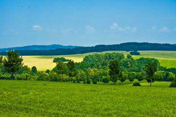 Fototapeta premium nature