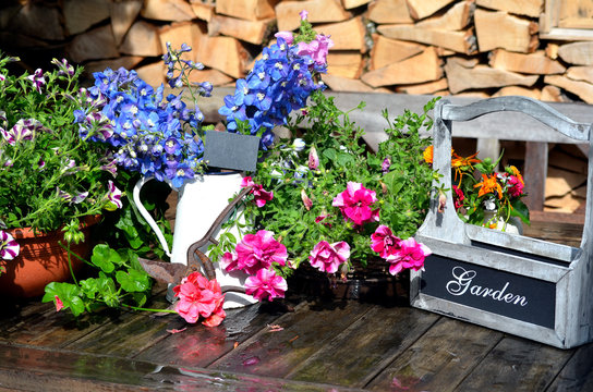 bunte Blumen Dekoration im Garten Terrasse