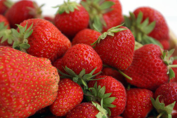 Erdbeeren