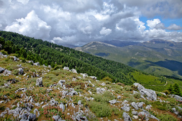 Fototapeta na wymiar grèce; ioniennes, kefalonia : mont Enos, nuages