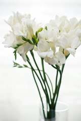 Freesia flowers
