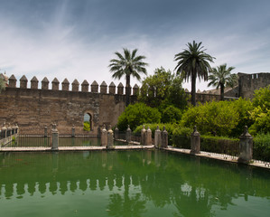 Fototapeta premium Castle wall and pond in Alcazar of Cordoba