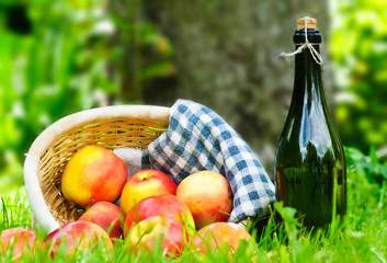 Apfelernte und Apfelwein