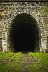 Entrance to an abandoned train tunnel - obrazy, fototapety, plakaty