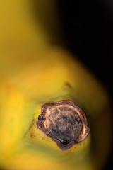 macro astratto di banana