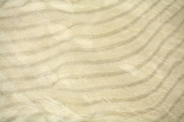 Obraz premium texture of the sand under the water.
