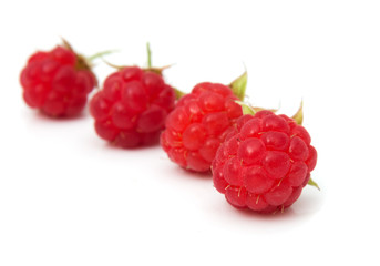 raspberries on white background