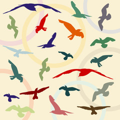 abstract background with contours of birds