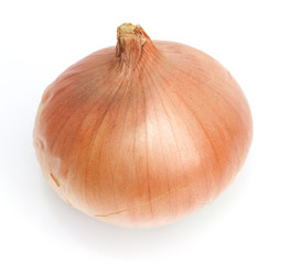 onion on a white background