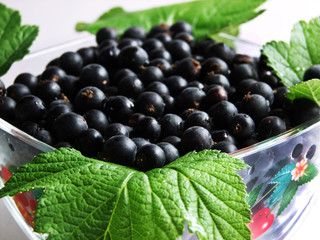 Fresh black currant