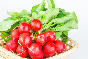 Fresh radishes with tops
