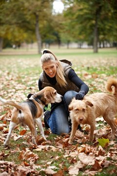 Young girl stroking dogs in autumn park