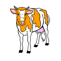 brown cow on white