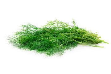 Fresh green dill on white
