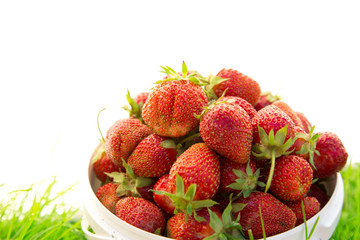 Ripe strawberry in bucket on grass