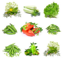 fresh vegetables isolated on white background  collage