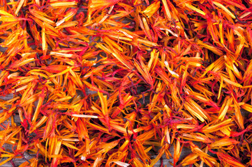 petal saffron