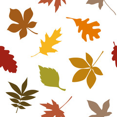 Leafs Seamless Pattern Autumn Colors