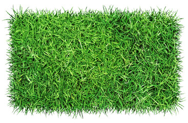 Surface d'herbe