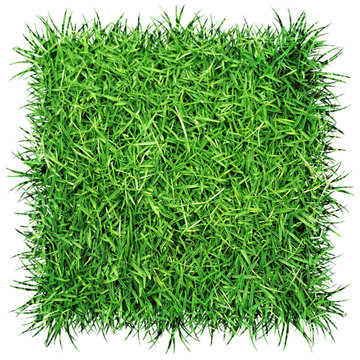 Carr&eacute; d'herbe