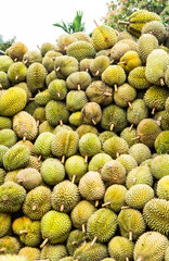 Fototapeta premium Durian fruit