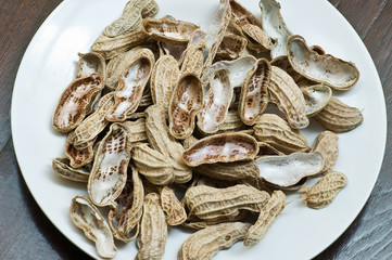a nut shells