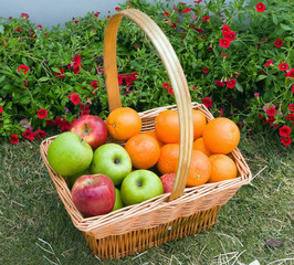 basket of fresh fruit