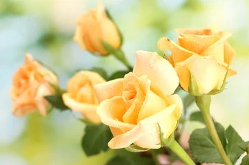 Foto op Plexiglas Rozen mooi boeket rozen op groene achtergrond