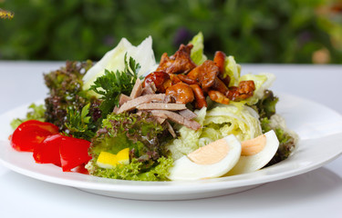 Delicious salad with greens and mushrooms