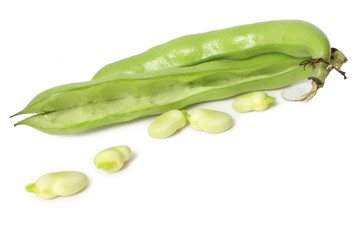 Fèves maraîchère