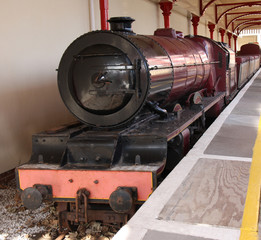 Naklejka premium A Narrow Gauge Steam Train Engine and Carriages.