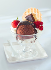Rich mouth watering chocolate ice-cream