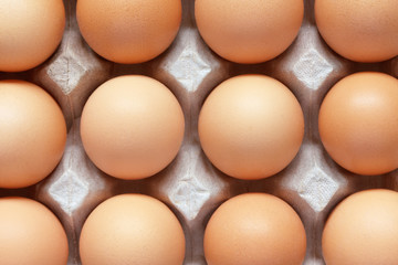 Closeup of brown eggs in carton tray