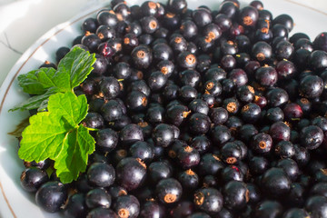 Black currants on plate