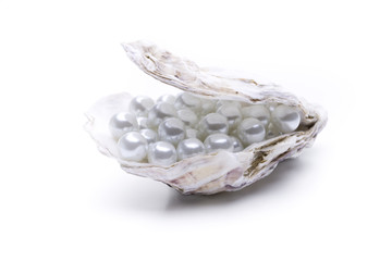 Perlen in einer Auster