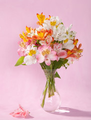 Bouquet of Alstroemeria on pink background