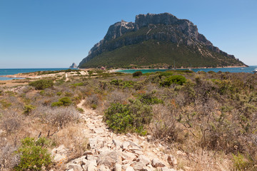 Panorama Isola Tavolara Sardegna