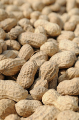 Peanuts background