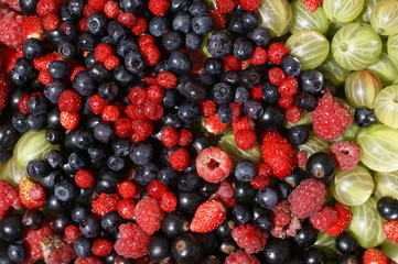 assorted berries
