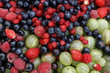 assorted berries1