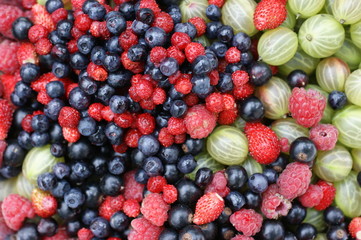 assorted berries3