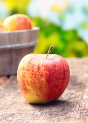 Delicious red  apple outdoors 
