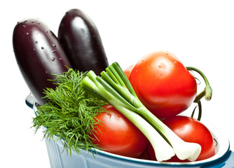 Raw fresh summer vegetables