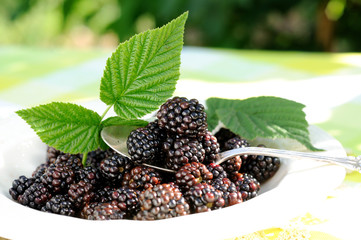 Plate with fresh blackberries outdoors